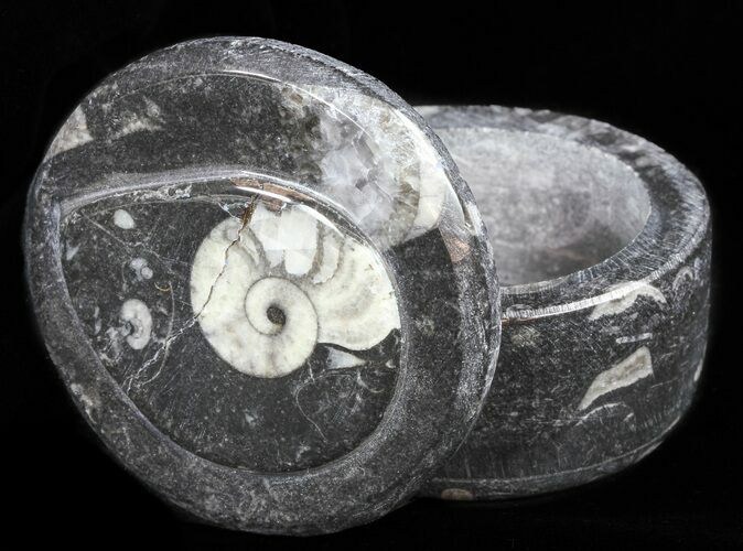Small Fossil Goniatite Jar (Black) - Stoneware #60100